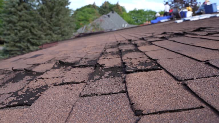Best Gutter Installation and Repair  in Catalina, AZ